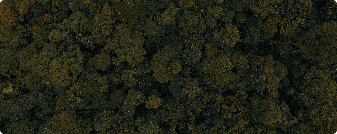 Carbon Removal Credits