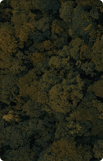 Carbon Removal Credits