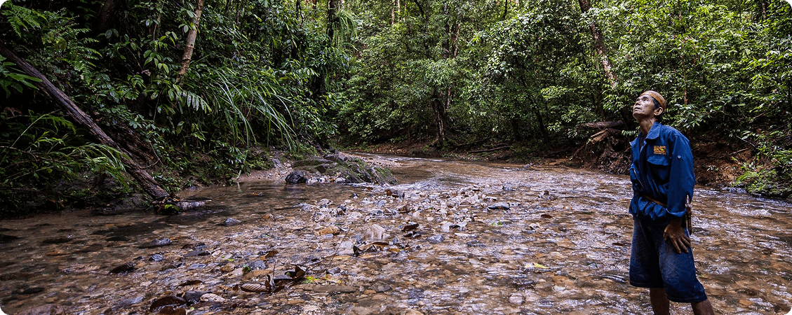 Carbon Removal Credits