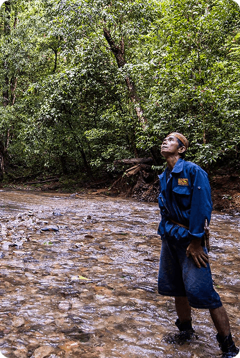 Carbon Removal Credits