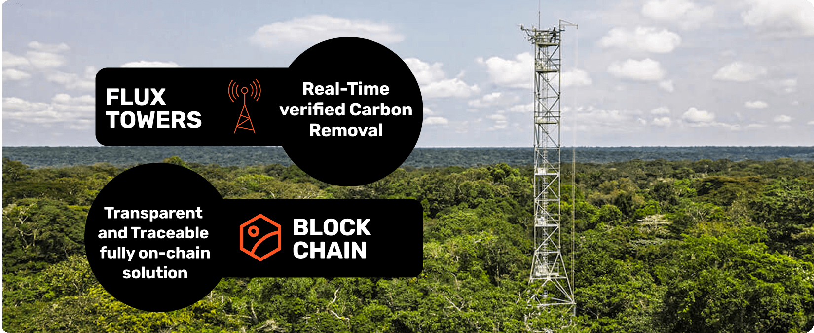 Carbon Removal Credits