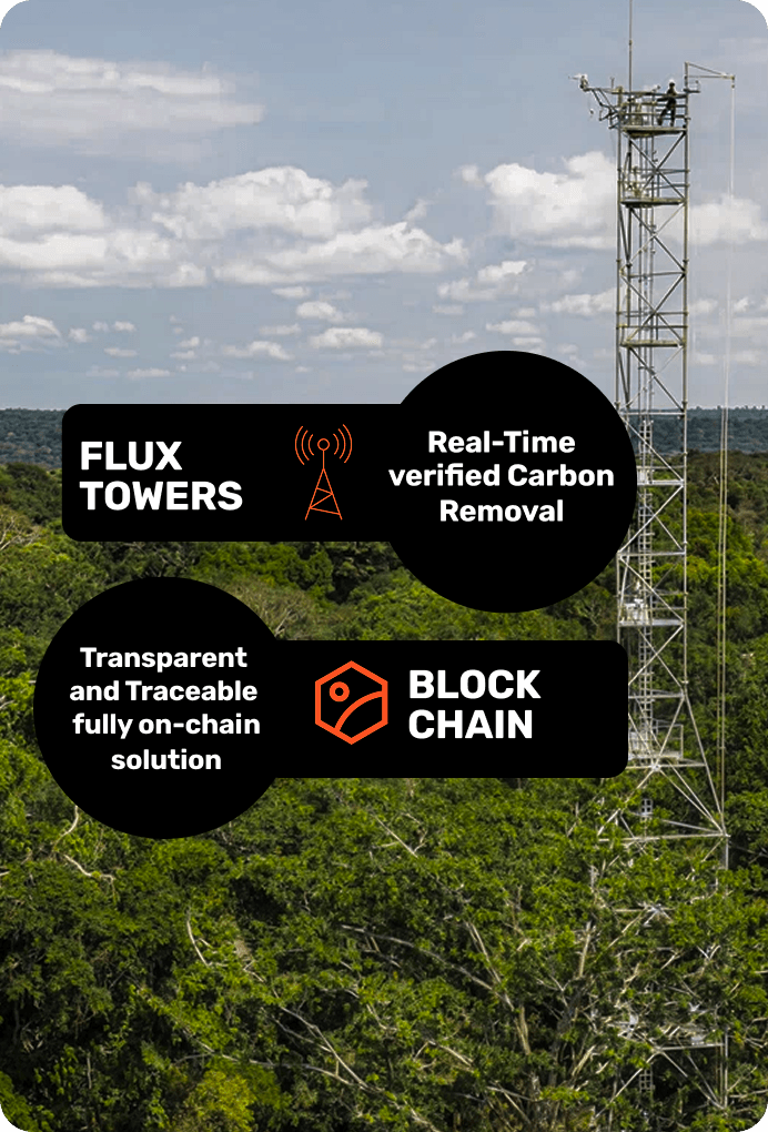 Carbon Removal Credits