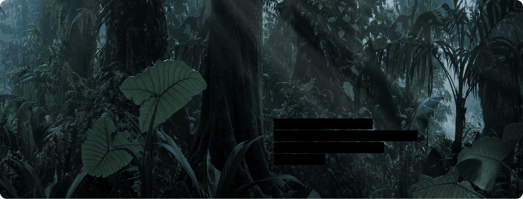 Carbon Removal Credits