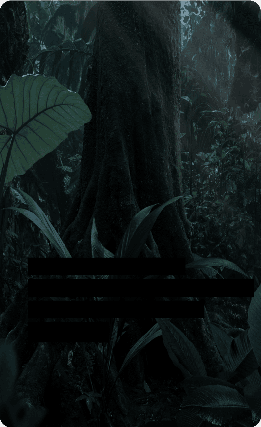 Carbon Removal Credits