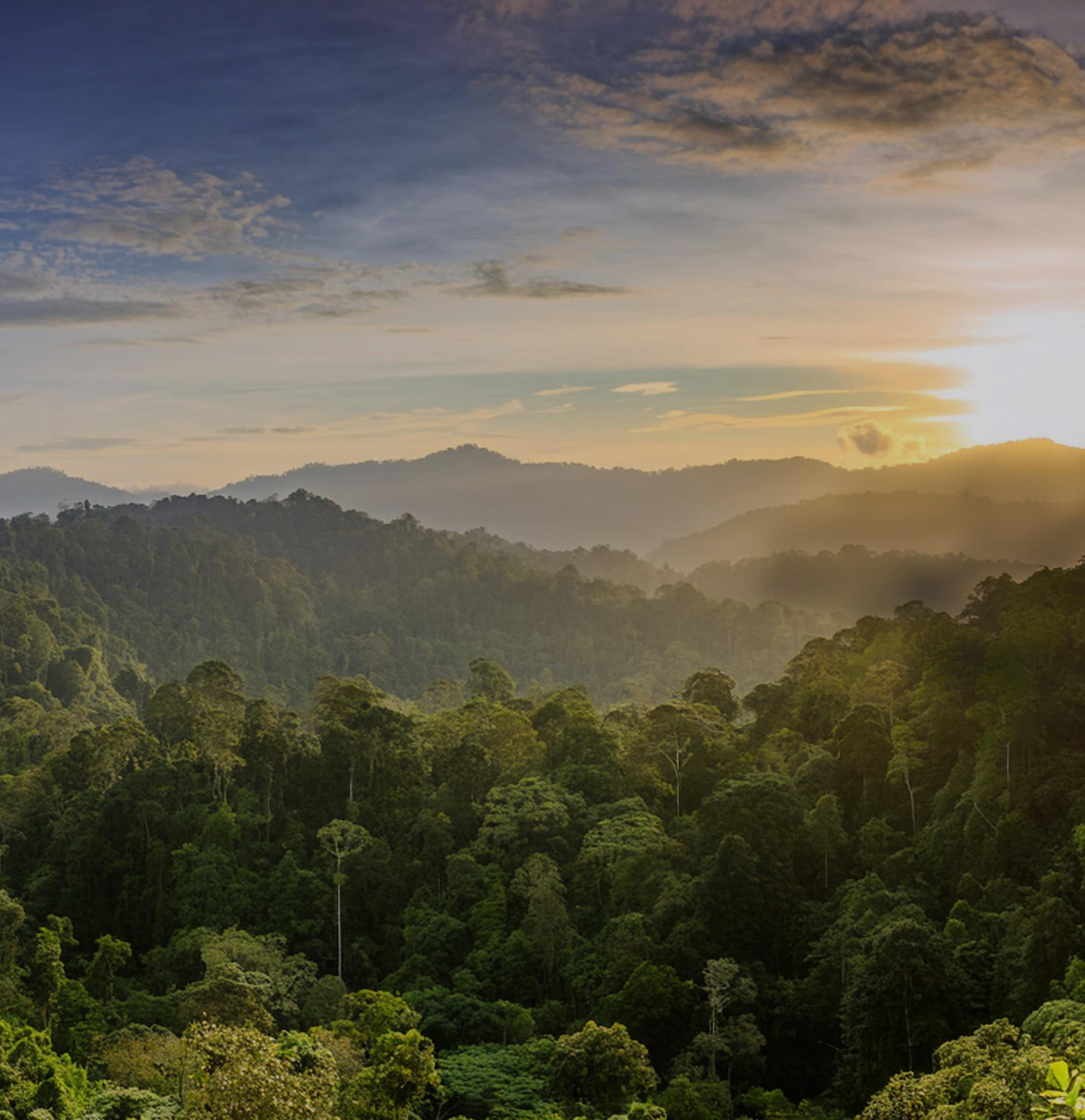 High Quality Conservation