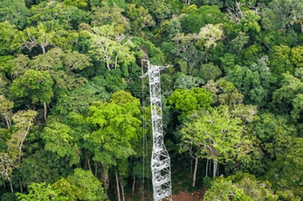 Verifying Carbon Removals